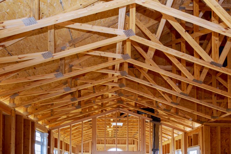 Building Framing in Conroe, TX